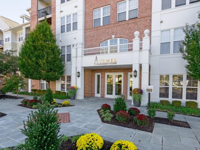 Avenel at Montgomery Square Image 4