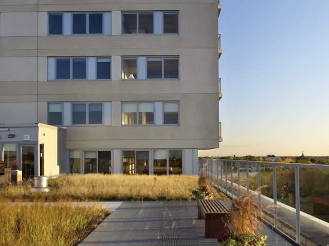 Breathtaking Views from the Rooftop