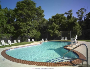 Eagle Stream Image 16