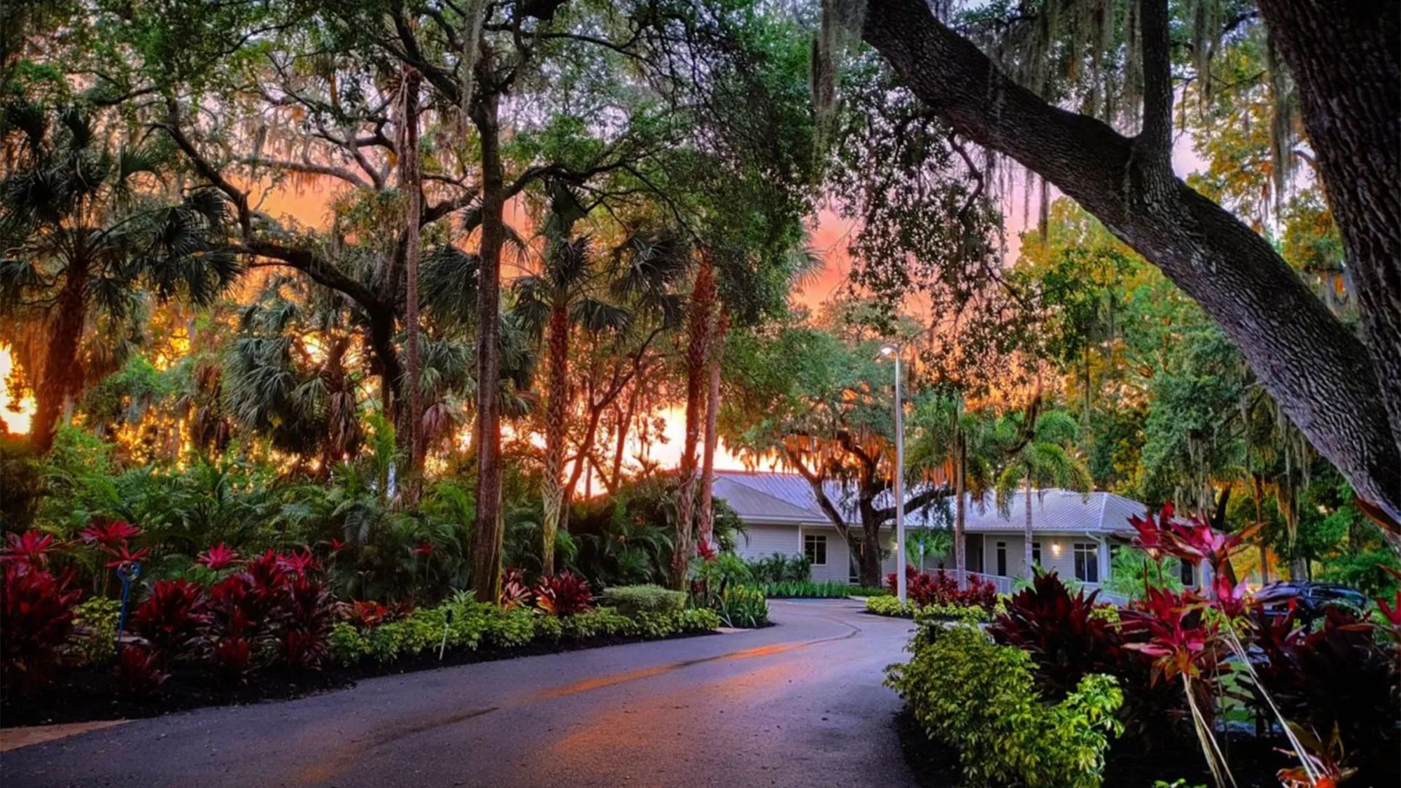 Our community boasts lush, natural Florida landscapes throughout!