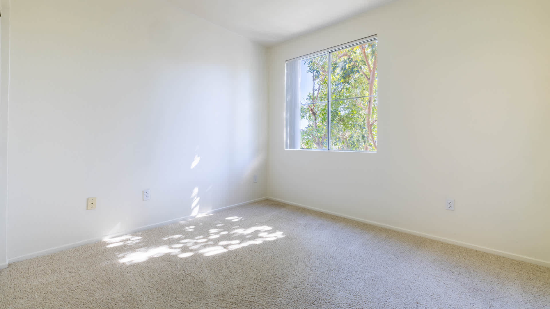 Centre Club Image 18