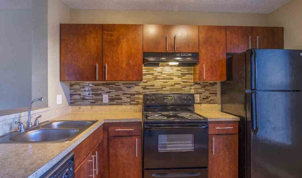 Coral Falls Image 15