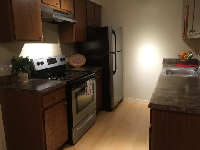 Pepper Tree Image 16