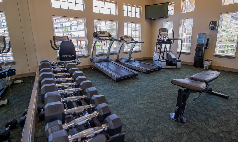 Park at Tuscany Image 6