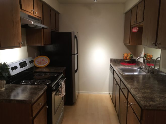 Pepper Tree Image 15