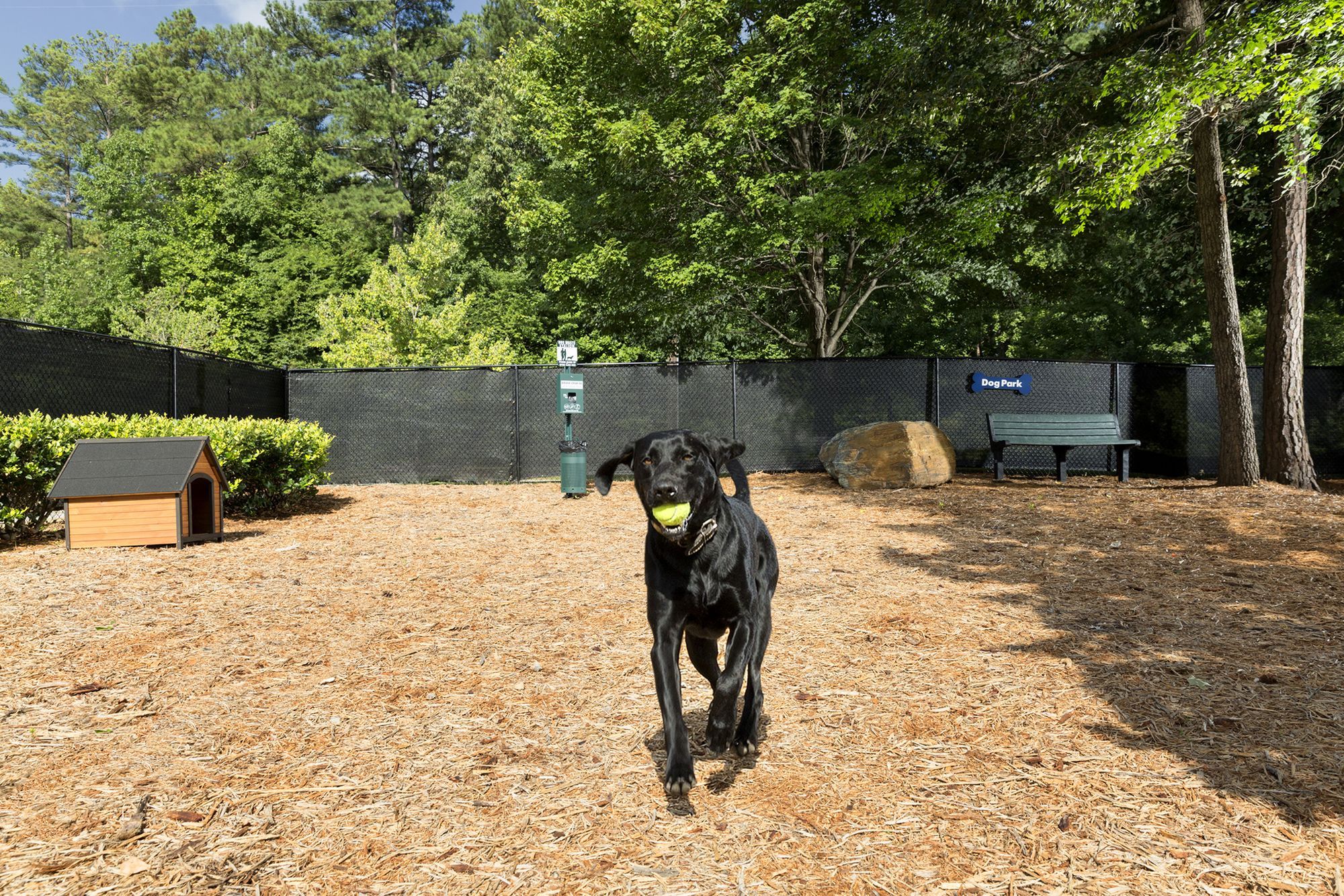 Camden Peachtree City Image 23