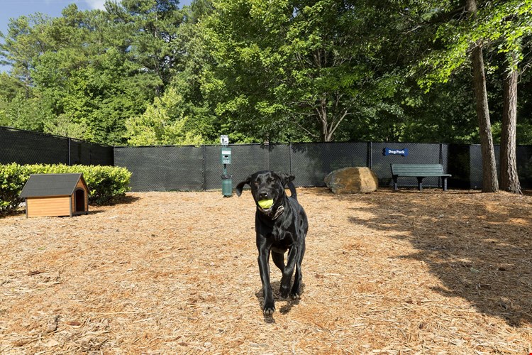 Camden Peachtree City Image 23