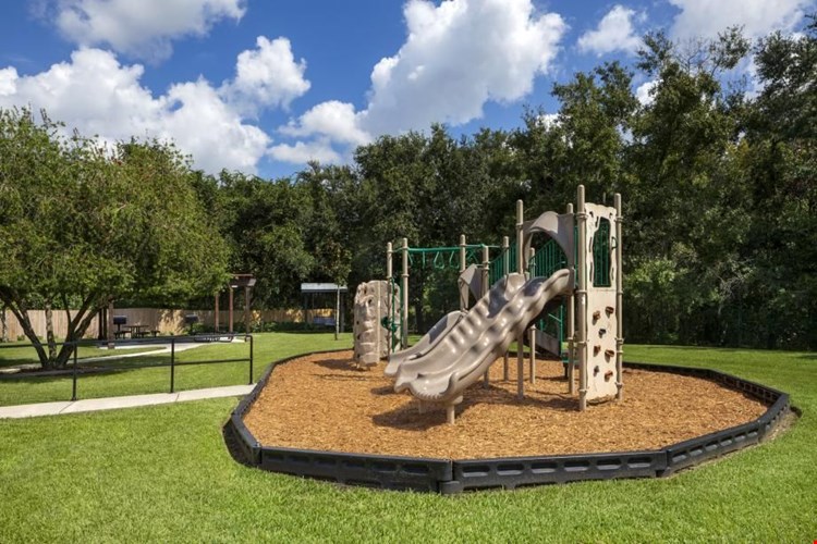 Camden Royal Palms Image 19