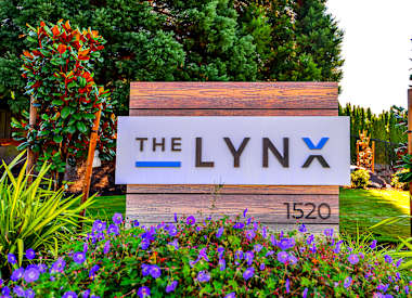 The Lynx Image 1