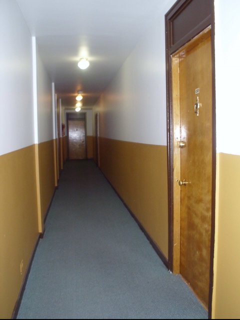 5337 S Hyde Park Boulevard Image 6