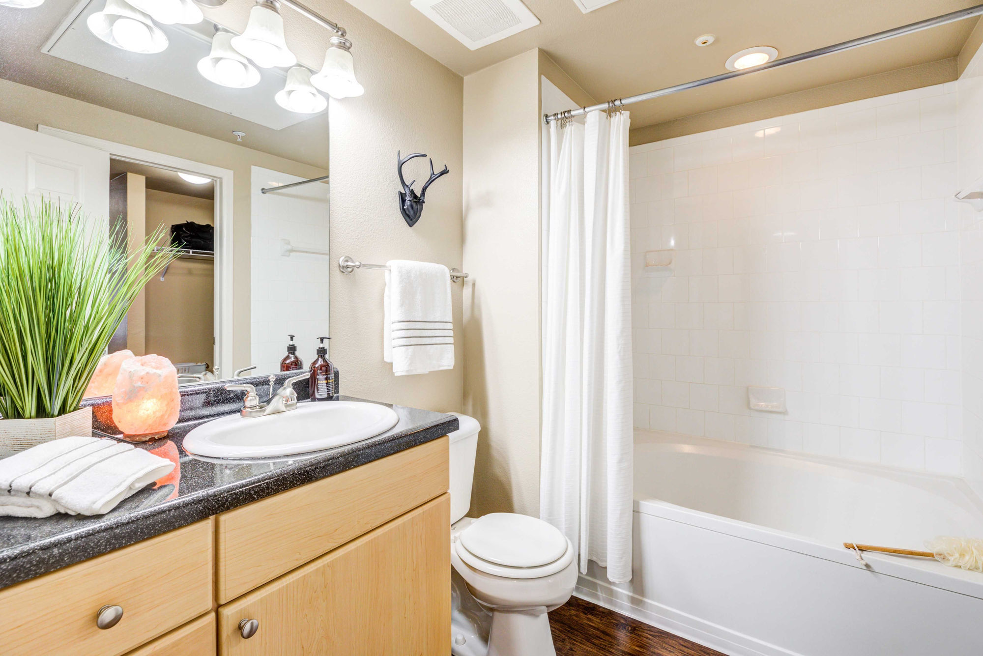 IMT At City Park Image 4