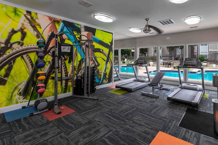 Our fully equipped fitness center features treadmills, free weights, and sunny views of the resort-style pool.