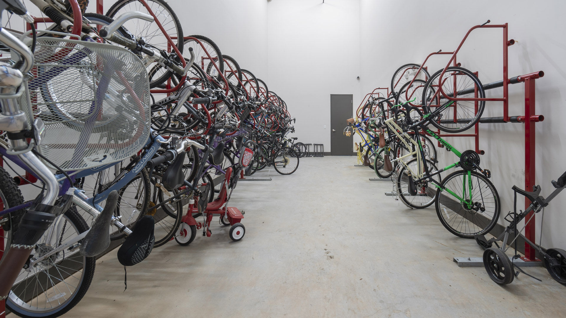 The Collection Image 13