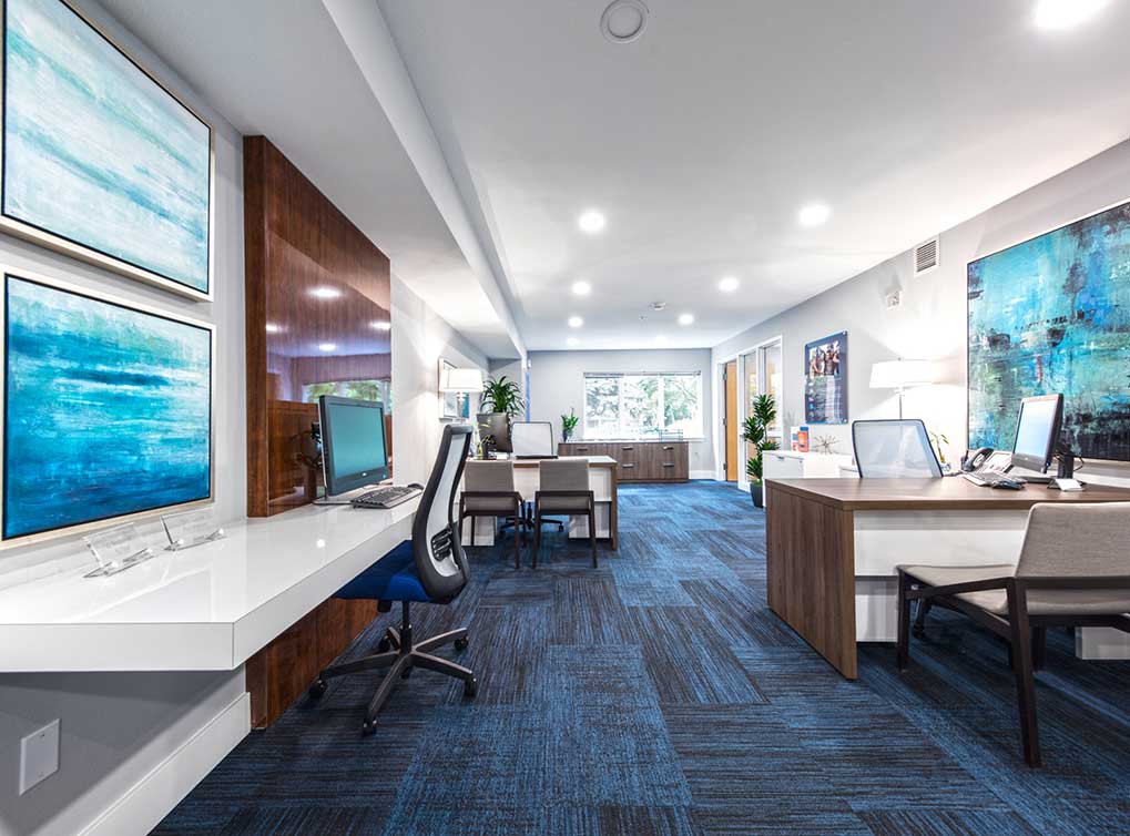 AMLI at Bellevue Park Image 18