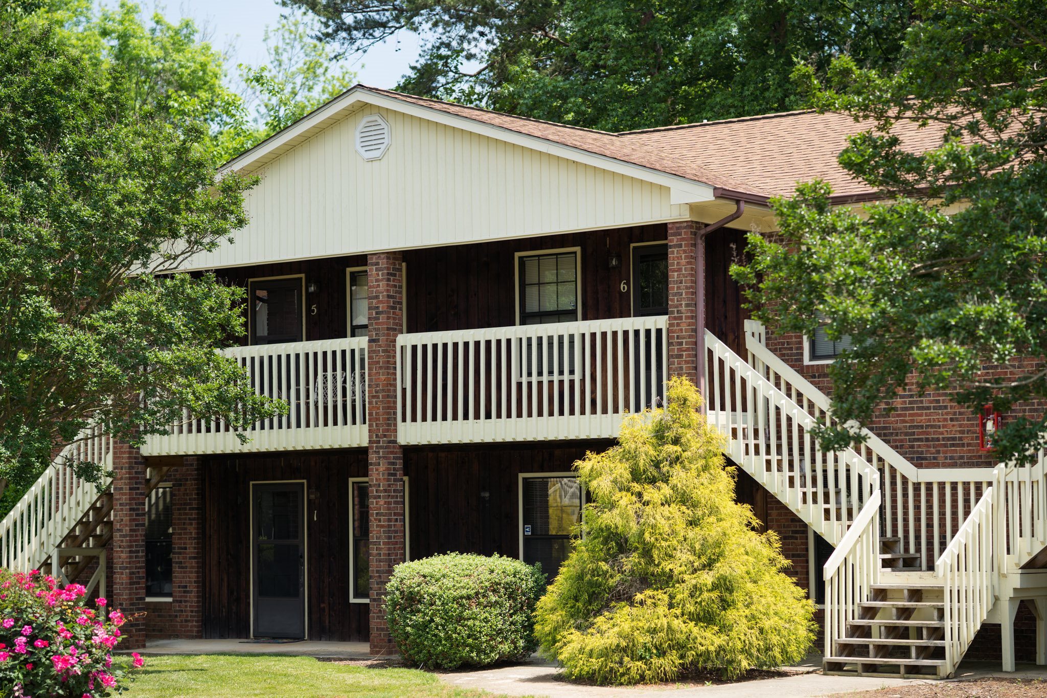 Willow Creek Image 4