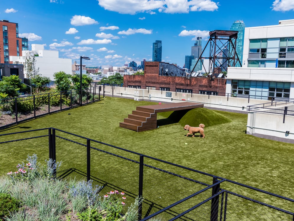WAG pet park