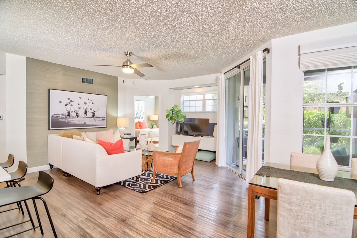 The Sophia Abacoa Image 8