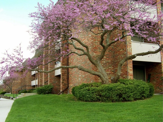 Regency Park Apartments Image 39