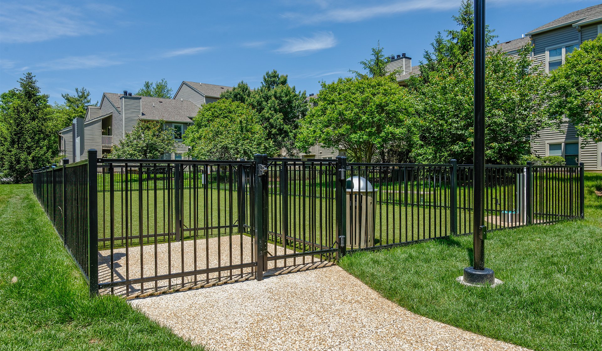Take your dog to play in the fenced-in, off-leash dog park