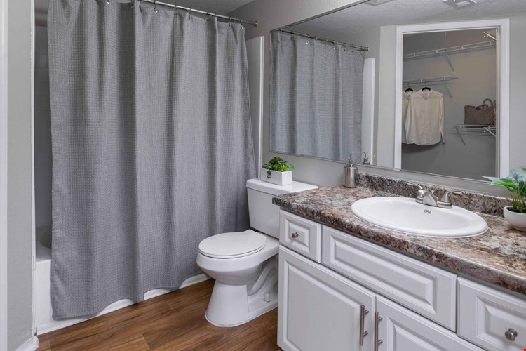 This thoughtfully designed bathroom offers plenty of counter space, a large mirror, and direct access to ample closet storage.