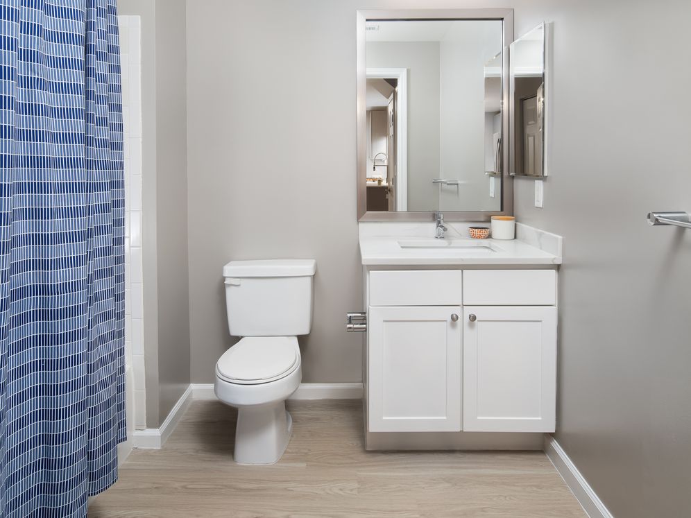 Premier Finish bath with white cabinetry, white quartz countertop, and hard surface flooring