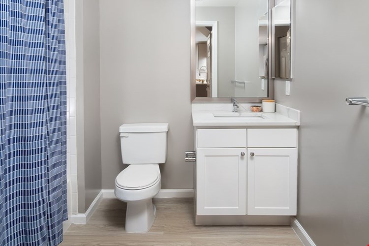 Premier Finish bath with white cabinetry, white quartz countertop, and hard surface flooring