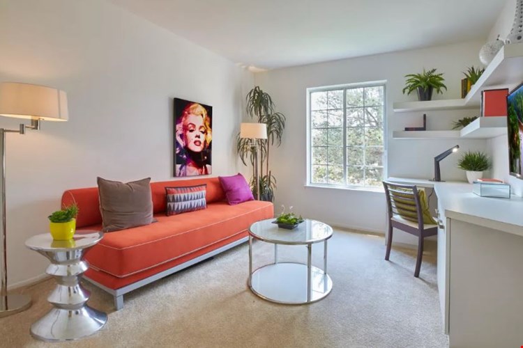 Aldingbrooke Image 15