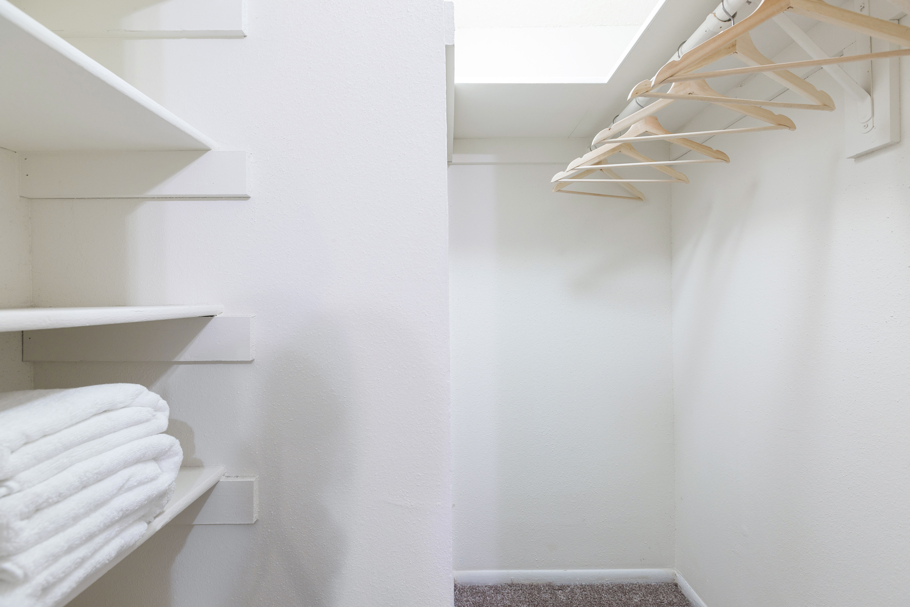 Northgreen at Carrollwood Image 13