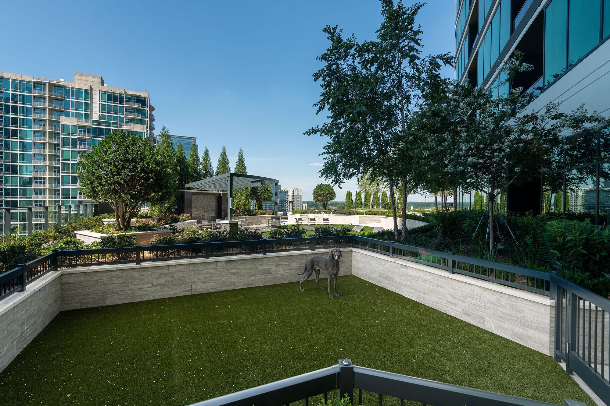 The Dagny Midtown Apartments Image 27