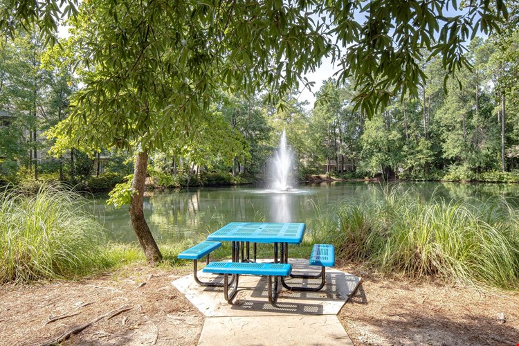 Our pond is surrounded by beautiful walking trails that offer direct access to the Harbison Recreational Center