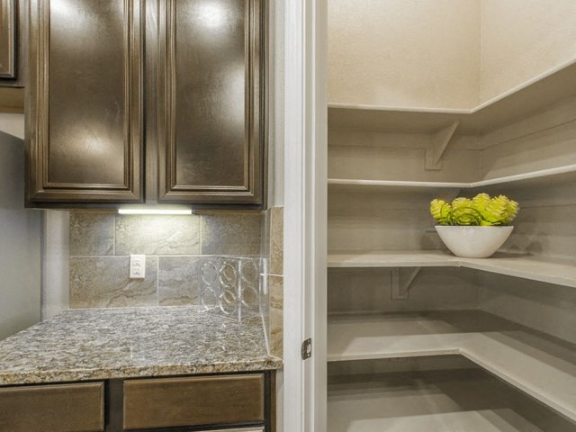 Berkshire Woodland Image 31