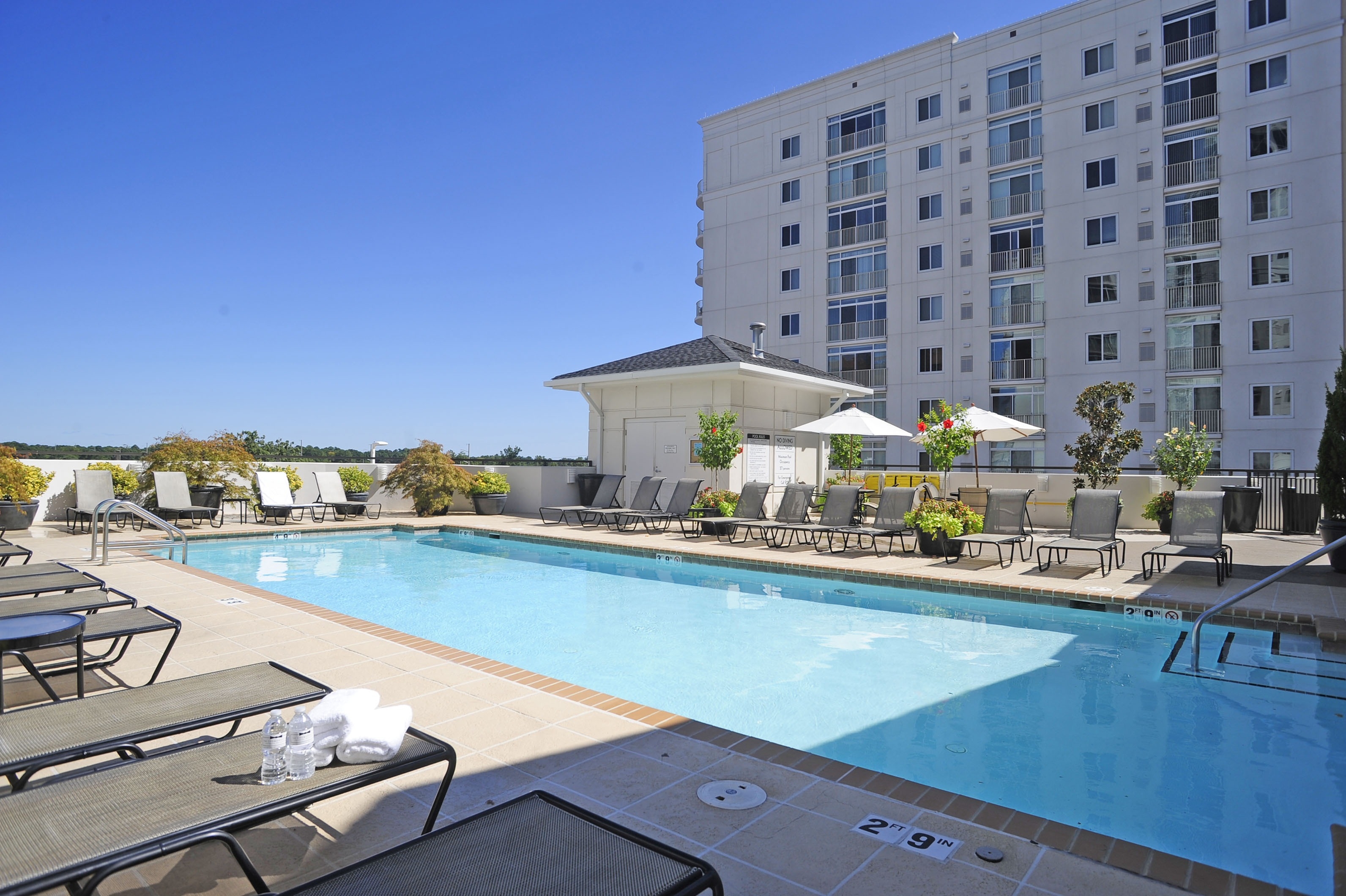 Refreshing Rooftop Swimming Pool