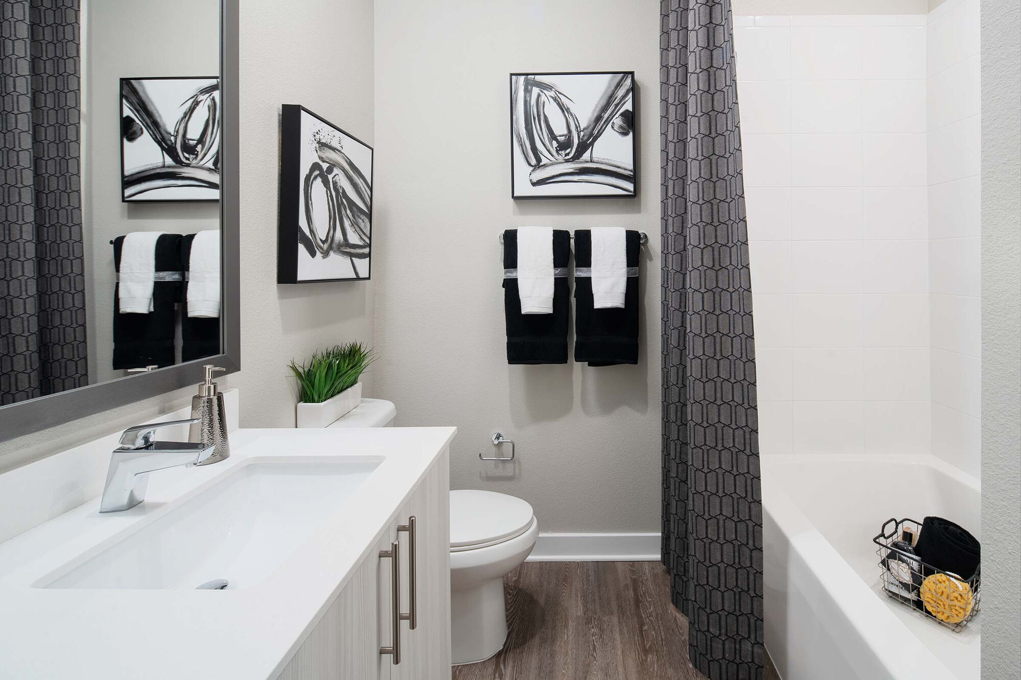 Camden at Lake Nona Image 17
