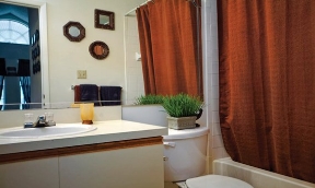 Twin Lakes Apartments Image 6