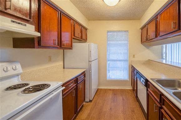 Stone Forest Image 7