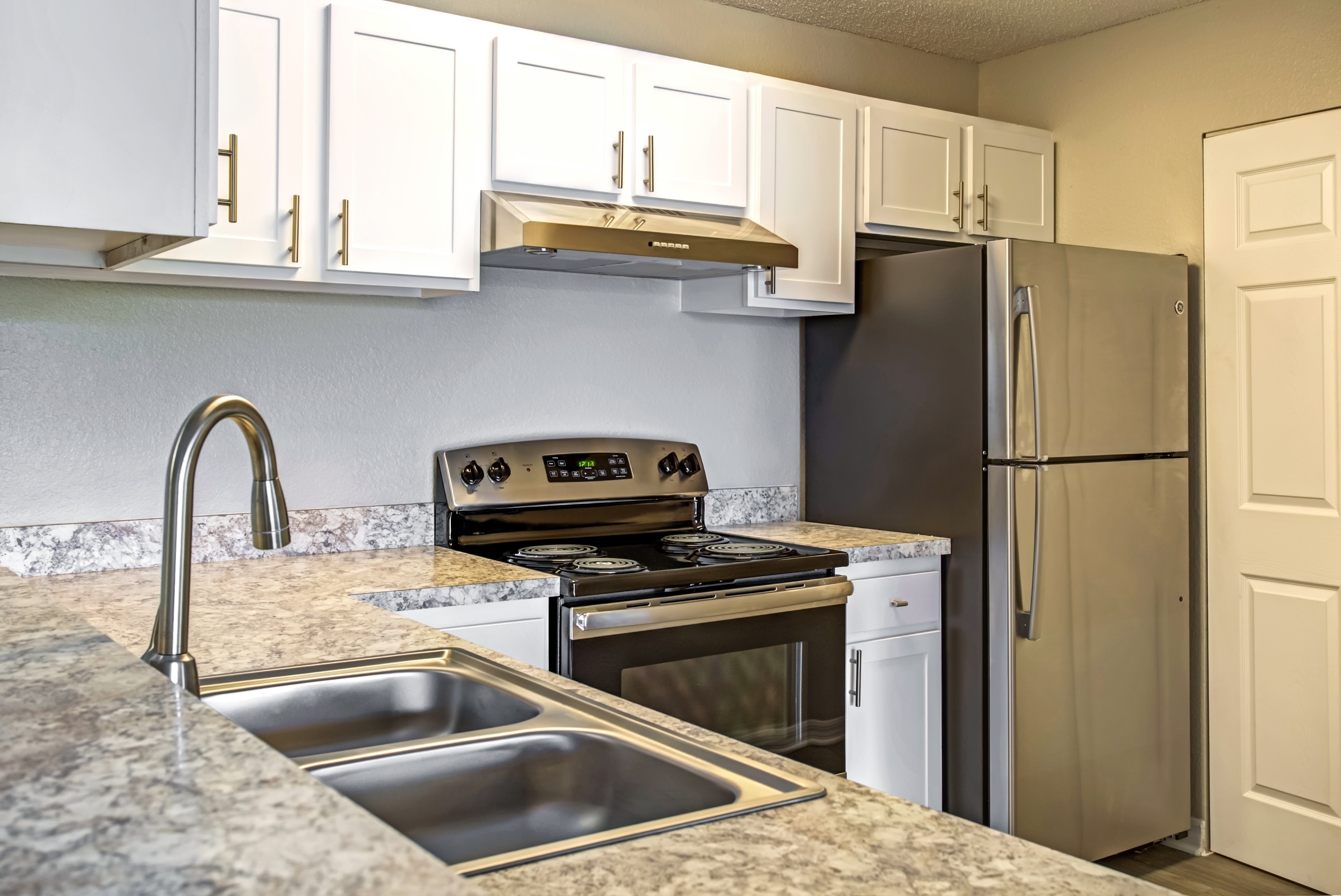 Sabal Palm at Carrollwood Image 2