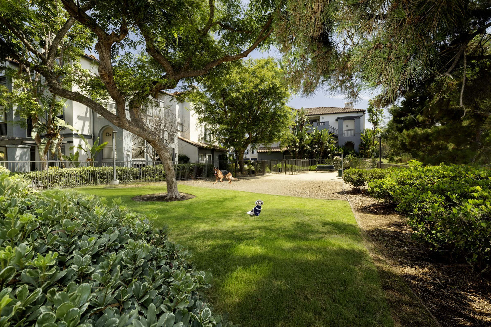 Camden Crown Valley Image 35