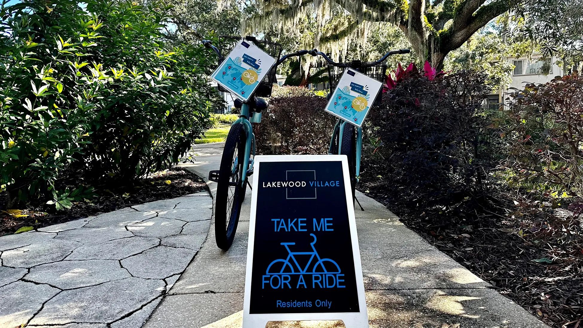 Take our bicycles out for a spin!