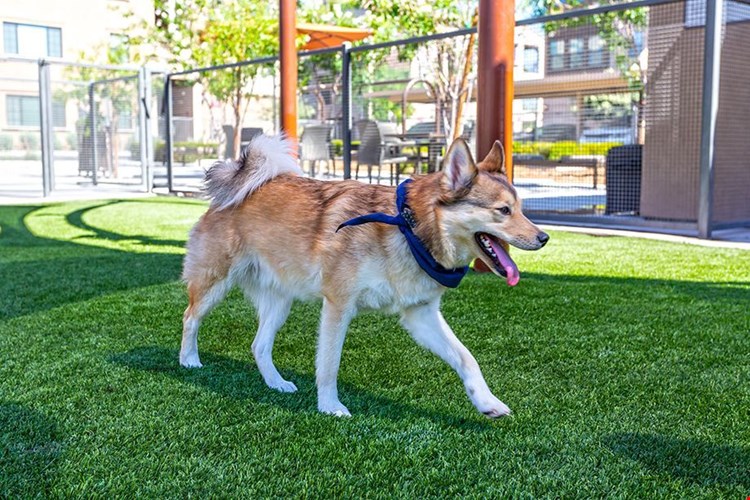 Camden Foothills Image 34