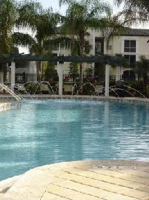 Allegro Palm Image 5