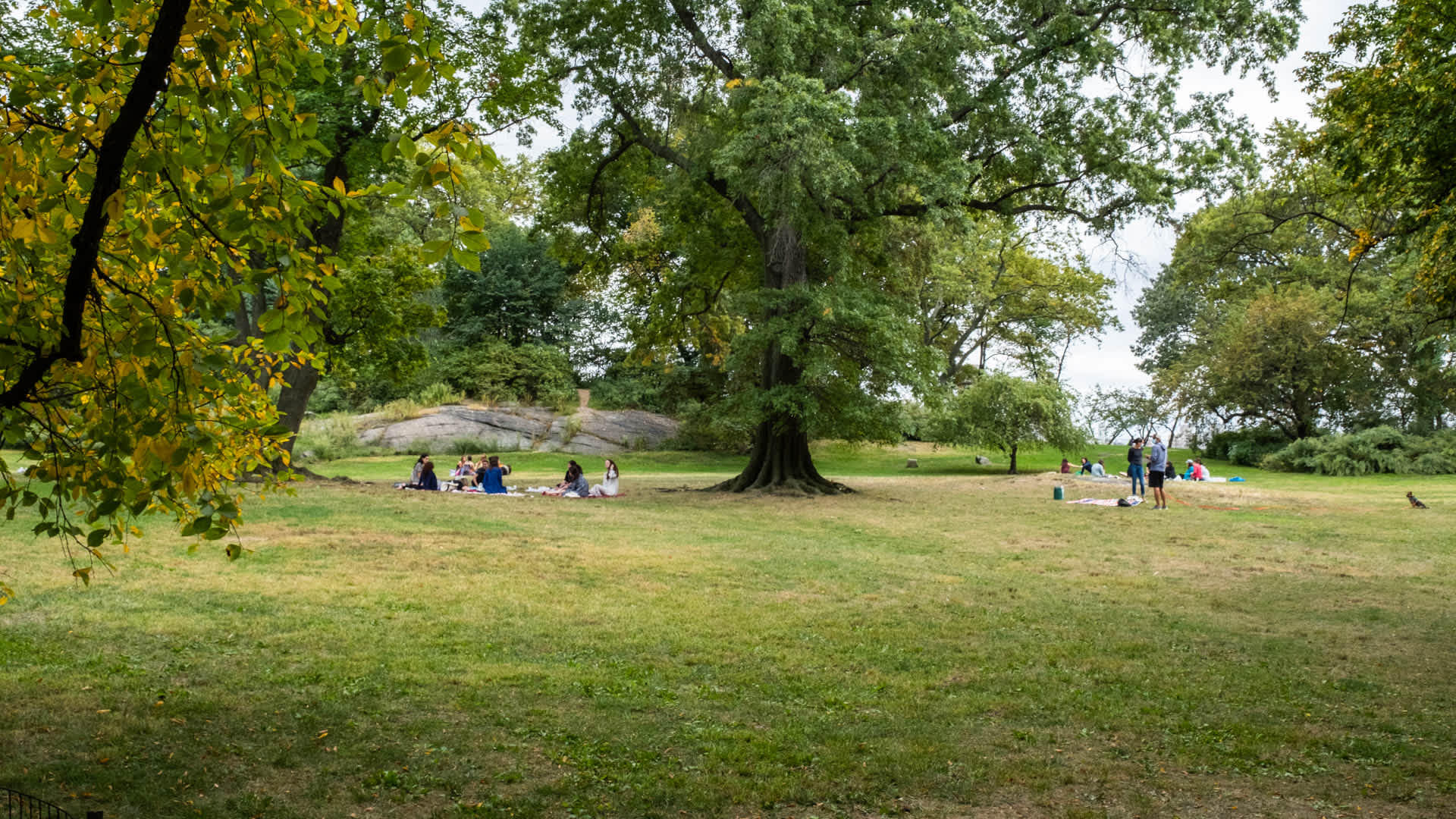 Parc Coliseum Image 35