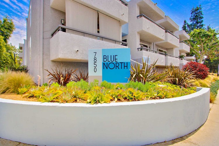 Blue North Image 1