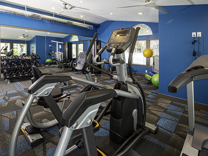 Candlestick Lane  Image 16