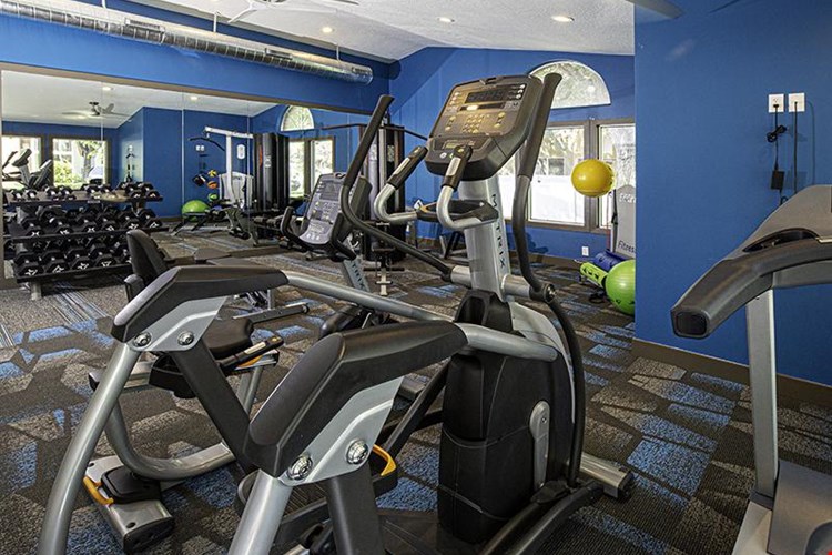 Candlestick Lane  Image 16