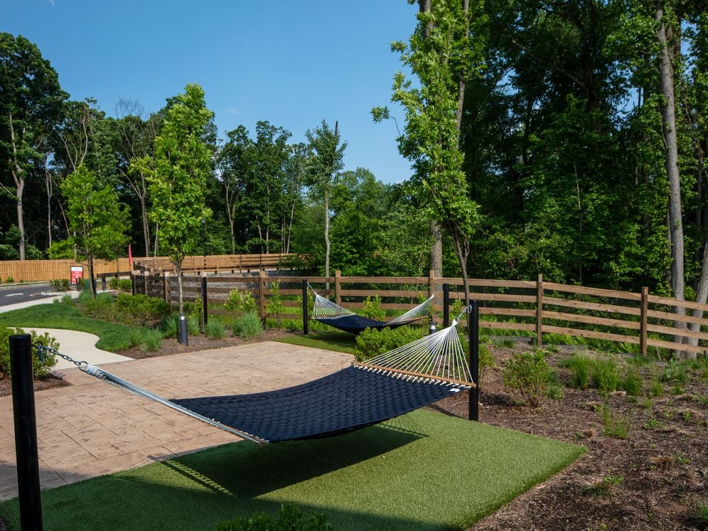 Landscaped greenspace with hammocks