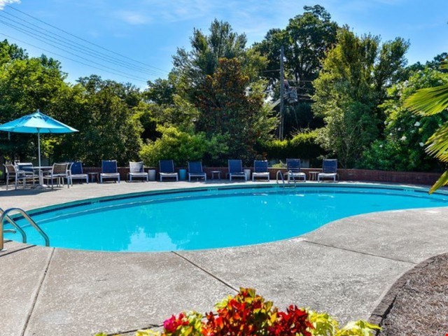 Apartments At The Vyne On Central Charlotte
