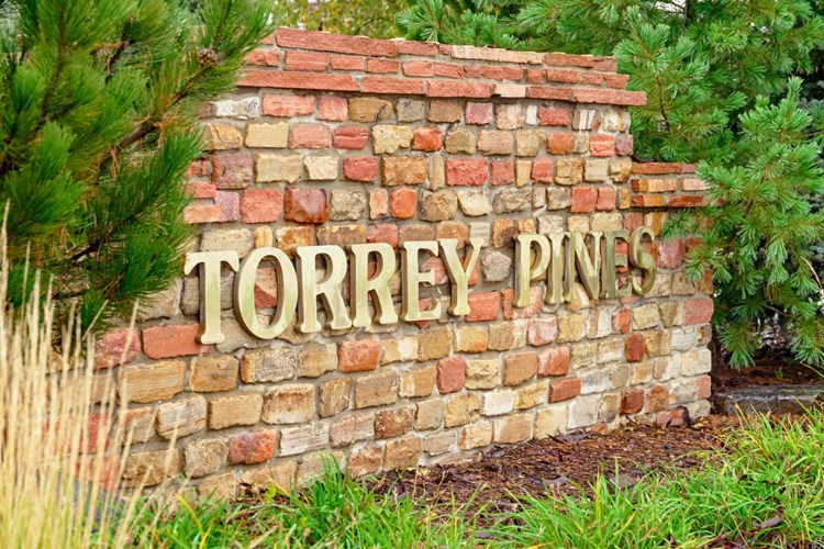 Torrey Pines Image 2