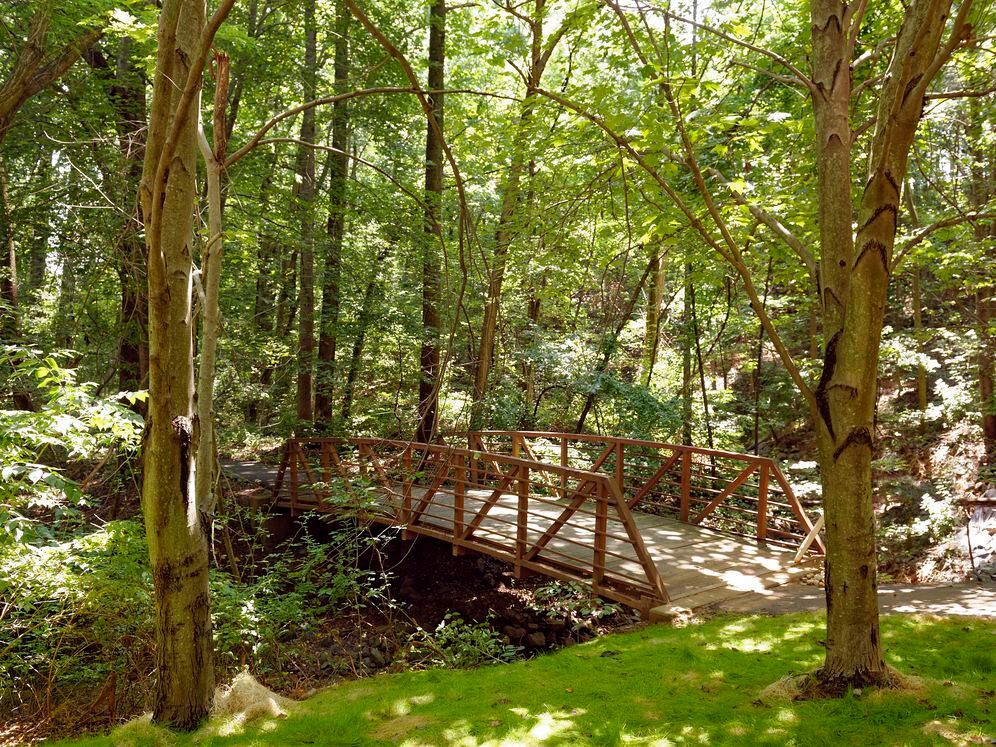 Nearby wooded nature trail running routes and pathways