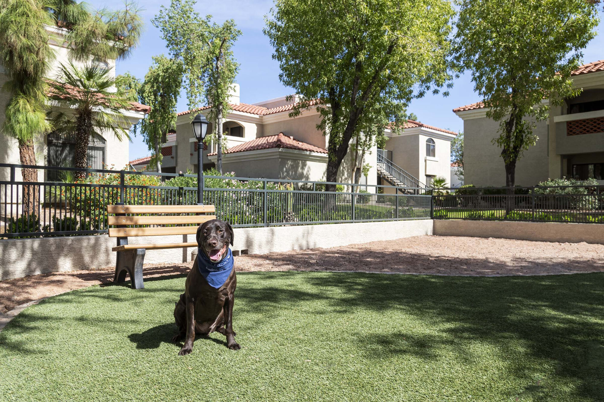 Camden San Paloma Image 27