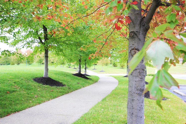 Bishops Gate Image 66